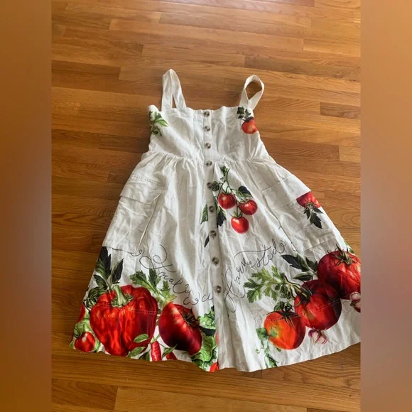 Anthropologie Maeve Button-Front Fit & Flare Tomato Midi Dress Anthropologie Maeve Button-Front Fit & Flare Tomato Midi Dress